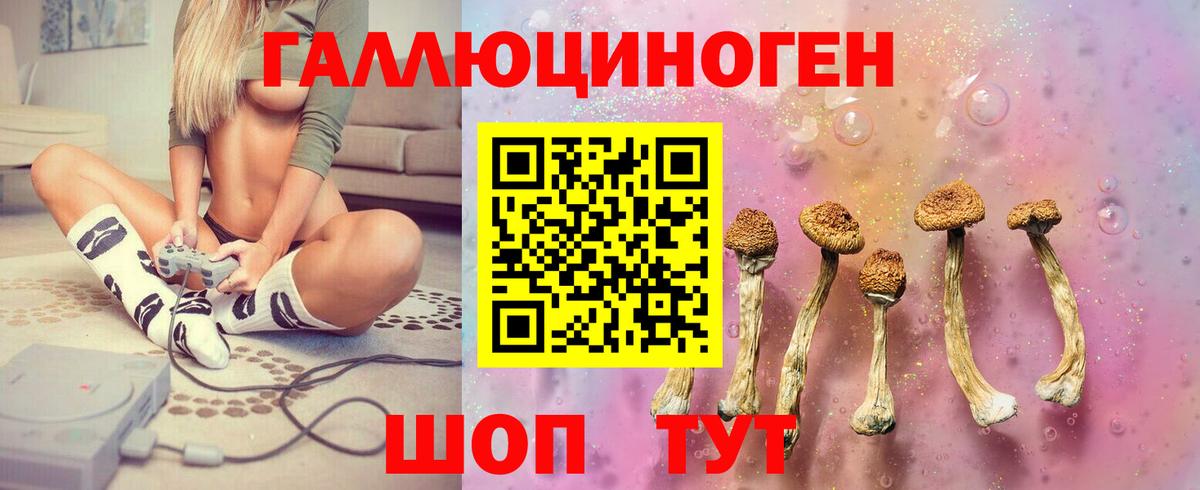 Галлюциногенные грибы MAGIC MUSHROOMS  Вход с VPN  Кашира 